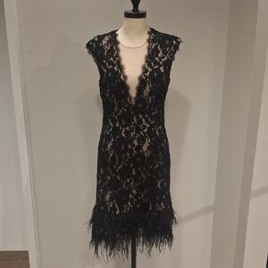 Black Lace Plunge Dress with Feather Hem